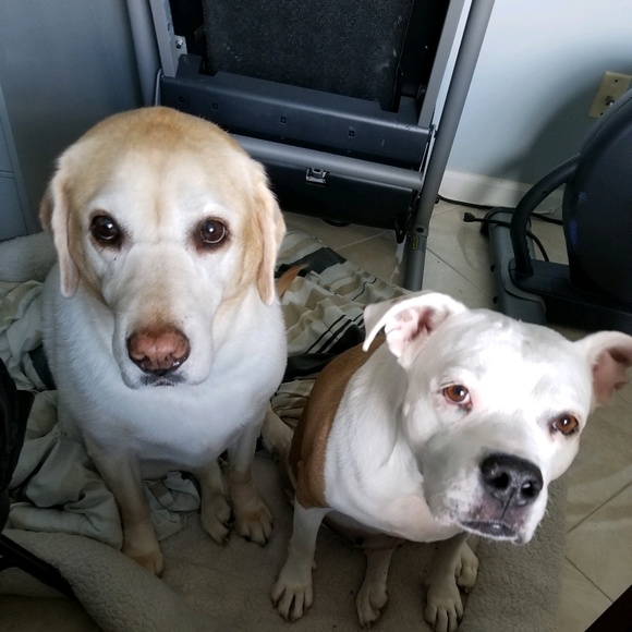 Meet your Posher, Shannon - Picture 8 of 8